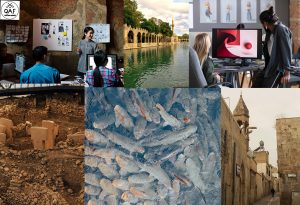 Şanlıurfa Sosyal Medya Ajansı